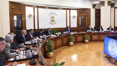 رئيس الوزراء: بدء الترتيبات الخاصة بالإفراج عن كل السلع الموجودة في الموانئ تباعًا