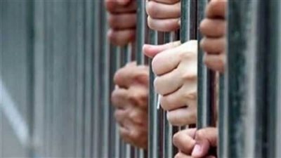 القبض على متهمين بتكوين تشكيل عصابى تخصص فى الاتجار بالمخدرات بقليوب