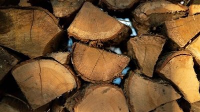 فرنسا.. تسليم إيصالات لشراء الحطب للتدفئة