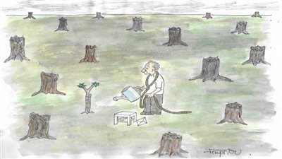 #الريشة_في_مواجهة_التغيرات_المناخية 