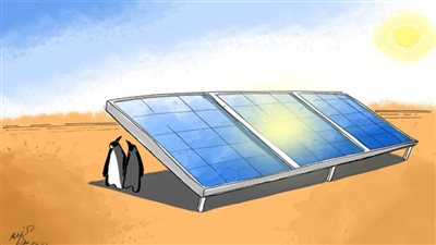 #الريشة_في_مواجهة_التغيرات_المناخية 