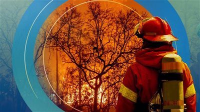 عاجل.. 7 أرقام قياسية محطمة في عام 2022