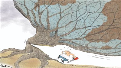 #الريشة_في_مواجهة_التغيرات_المناخية 