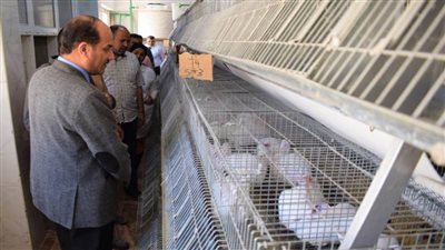 جامعة العريش تواصل دورها المجتمعي والتنموي