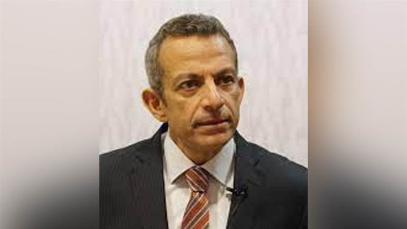 السفير عاصم حنفي