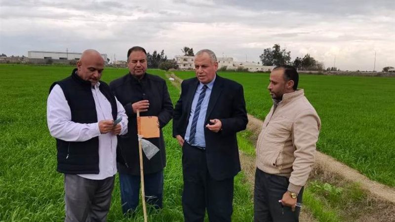 زراعة 245 ألف من