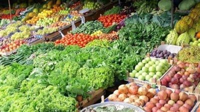 وزير الزراعة: الصادرات الزراعية تتجاوز 6,3 مليون طن هذا العام لأول مرة في تاريخها