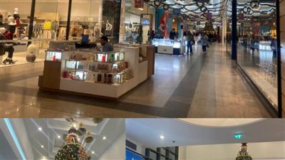 شجرة الكريسماس وبابا نويل.. الراعى الرسمي للاحتفالات في الشوارع والميادين والأماكن العامة