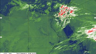 عاجل| الأرصاد الجوية.. سقوط أمطار متفاوتة الشدة على عدد من المحافظات الساحلية