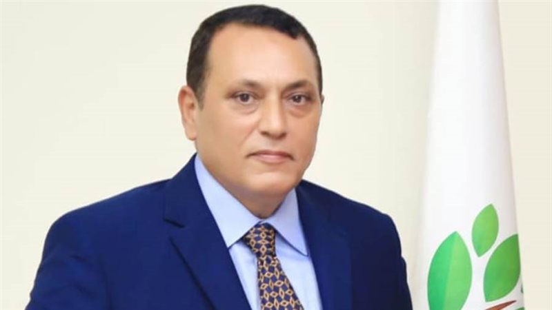 المهندس عمرو عبدالوهاب