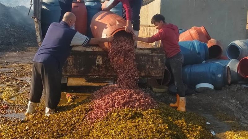 إعدام مخللات غير