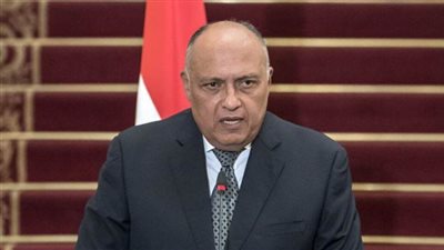 وزير الخارجية: مصر تولي اهتماما كبيرا باستعادة الآثار المصرية التي تم تهريبها للخارج
