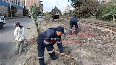 استمرار الحملات المكبرة للنظافة والتجميل بكفر الشيخ 