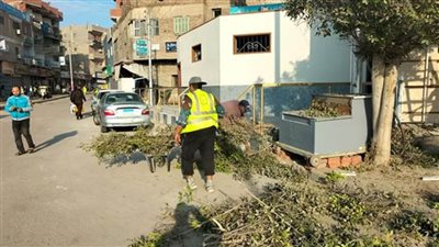 متابعه أعمال النظافة والإنارة العامة والتجميل بنطاق حي ثالث الإسماعيلية