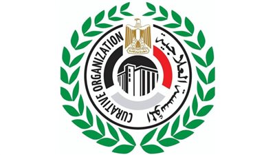 حصاد مستشفيات المؤسسة العلاجية خلال عام 2022