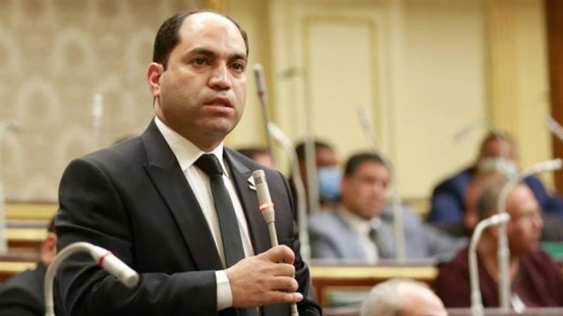 النائب عمرو درويش