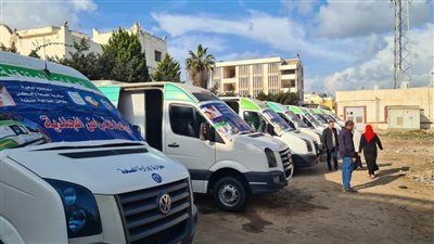 الكشف على 1889 مواطنًا في قافلة طبية مجانية بقرية محلة الأمير بالبحيرة 