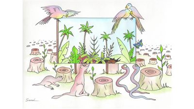 #الريشة_في_مواجهة_التغيرات_المناخية 