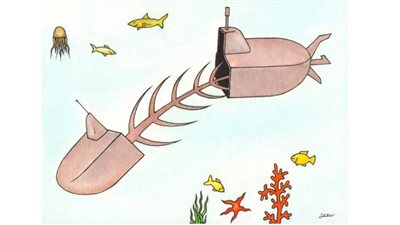 #الريشة_في_مواجهة_التغيرات_المناخية 