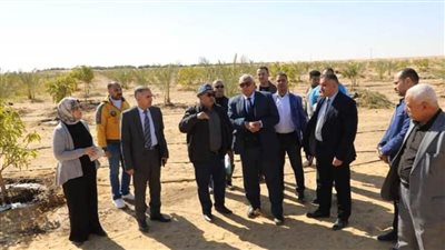 محافظ الوادي الجديد يتفقد مشروع استثمار زراعي بالخارجة