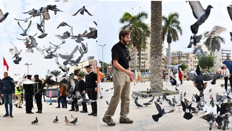 شىء من الإبداع في