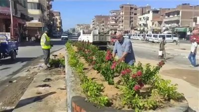 زراعة 61292 شجرة بالبحيرة ضمن المبادرة الرئاسية لزراعة 100 مليون شجرة