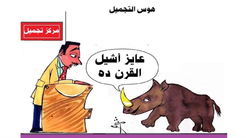 كاريكاتير - ثروت