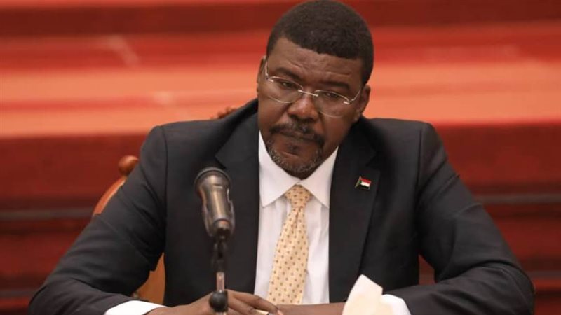 عضو مجلس السيادة