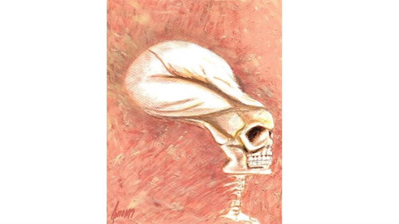 بوابة روز اليوسف