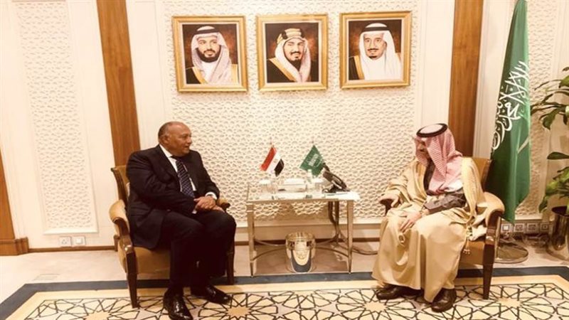 سامح شكري يلتقي مع