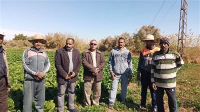 وكيل وزارة الزراعة في جولة تفقدية لمتابعة زراعات القمح بالوادي الجديد 