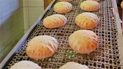 ضبط مخابز مخالفة خلال حملة تموينية بالدقهلية 