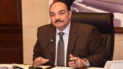 فرحات: قرارات مجلس أمناء الحوار الوطني تنعش الحياة السياسية