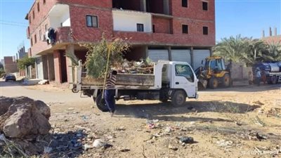 تكثيف الحملات وتجميل شوارع واحة الخارجة بالوادي الجديد  