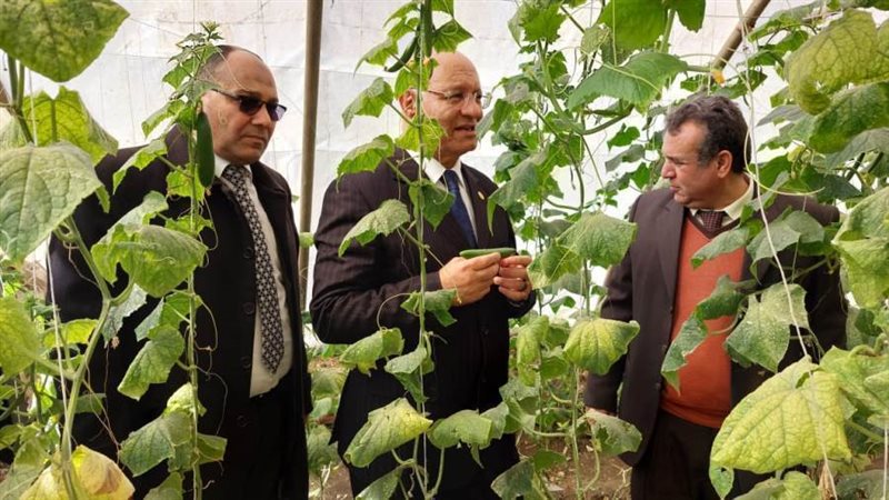 رئيس الجامعة يتفقد