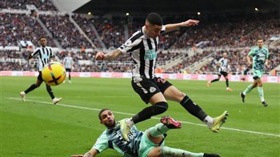 نيوكاسل المتألق يخطف فوزًا مثيرًا من فولهام في البريميرليج 