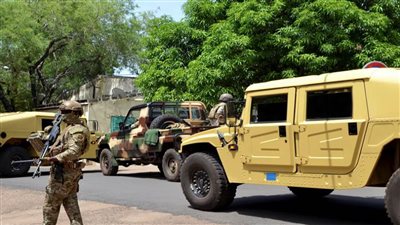 تجمع الإيكواس يرحب بقرار مالي بالعفو عن 45 من قوات ساحل العاج