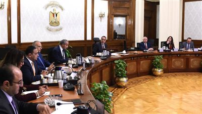 رئيس الوزراء يستعرض سبل توفير الزيوت الخام محليًا لسد الفجوة والحد من الاستيراد