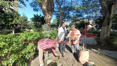 حملات لزراعة الأشجار وإنشاء محور جديد بكفر الشيخ