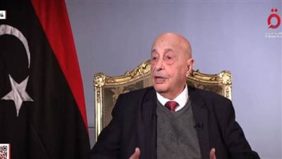 عقيلة صالح: الانتخابات الليبية من الممكن أن تعقد في شهر نوفمبر