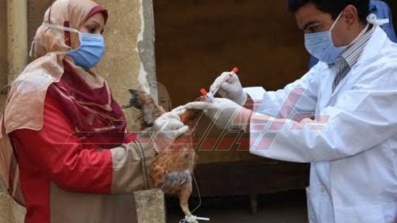 تحصين الطيور