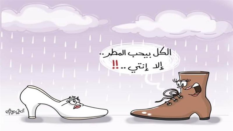 ريشة أماني هاشم