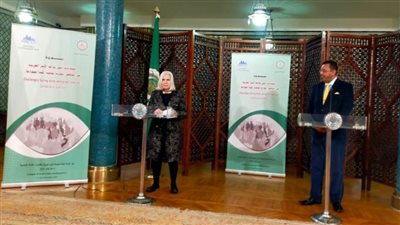 لأول مرة.. الجامعة العربية تنظم ندوة مع منظمة مجتمع مدني بالمهجر 