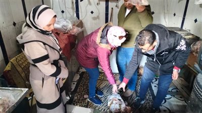 إحالة 62 مخالفة تموينية بالدقهلية للنيابة العامة 