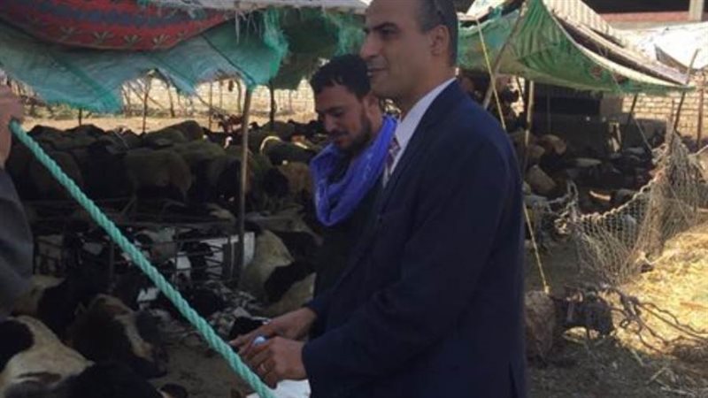 الحملة القومية للتحصين