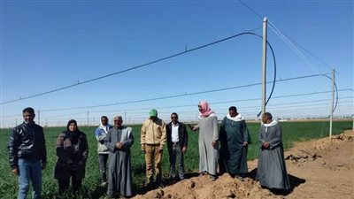  إقامة ندوة حقلية حول التوصيات الفنية المناسبة لزراعة القمح لمركز باريس