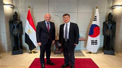 السفير المصري لدى كوريا الجنوبية يبحث مع نائب رئيس هايوندي جهود الدولة لتوطين الصناعات