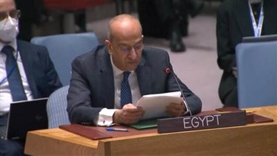 عاجل.. مصر تطالب بوقف الإجراءات الإسرائيلية الأحادية التي تقوض حل الدولتين