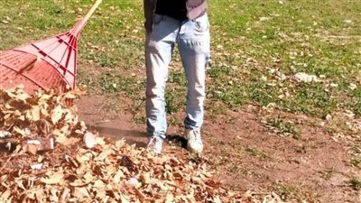 جهاز التطوير والتجميل يواصل أعمال رفع كفاءة المسطحات الخضراء بشوارع وميادين الإسماعيلية