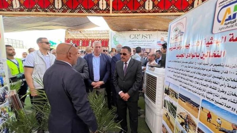 مشروعات صغيرة لدعم